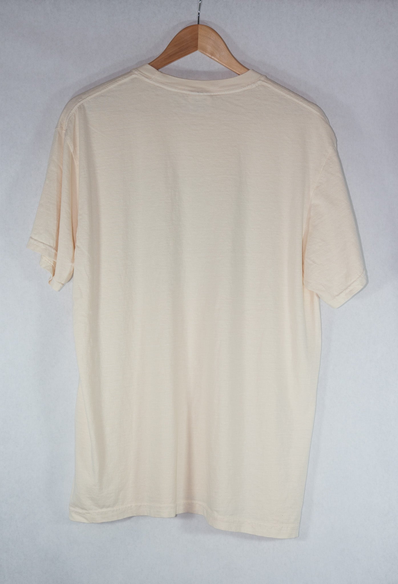 Lagoon Comfort Colors Fish Surf T-Shirt