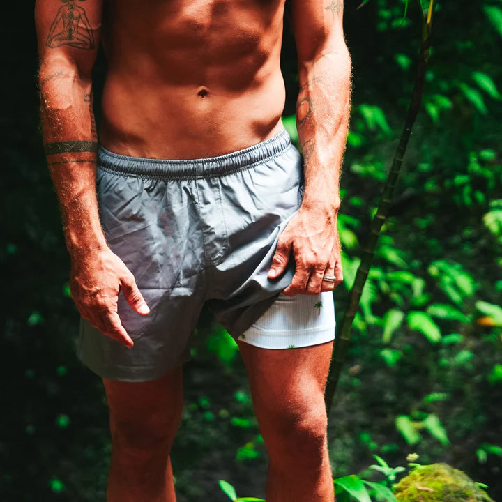 Bermies Grey (Palm Stripes) Shorts