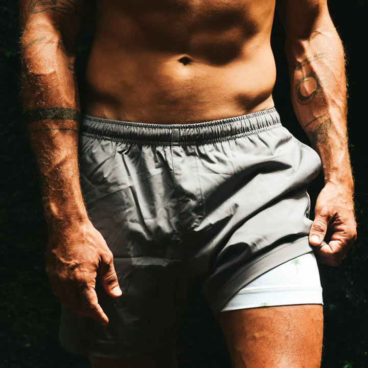 Bermies Grey (Palm Stripes) Shorts