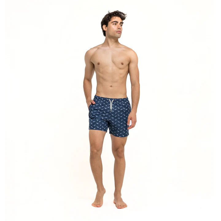 Bermies Sharks Shorts