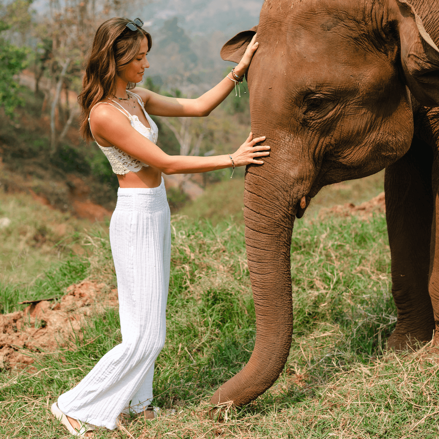 Lotus and Luna Wide Leg Cotton Pants