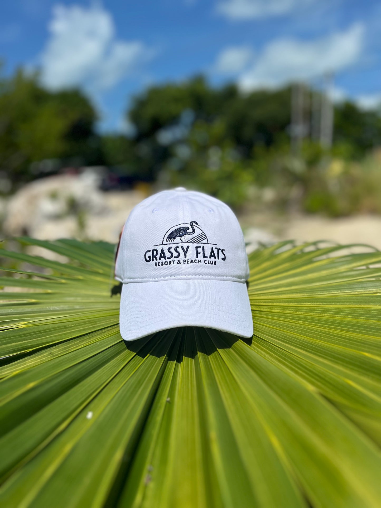 Grassy Flats Dad Hat