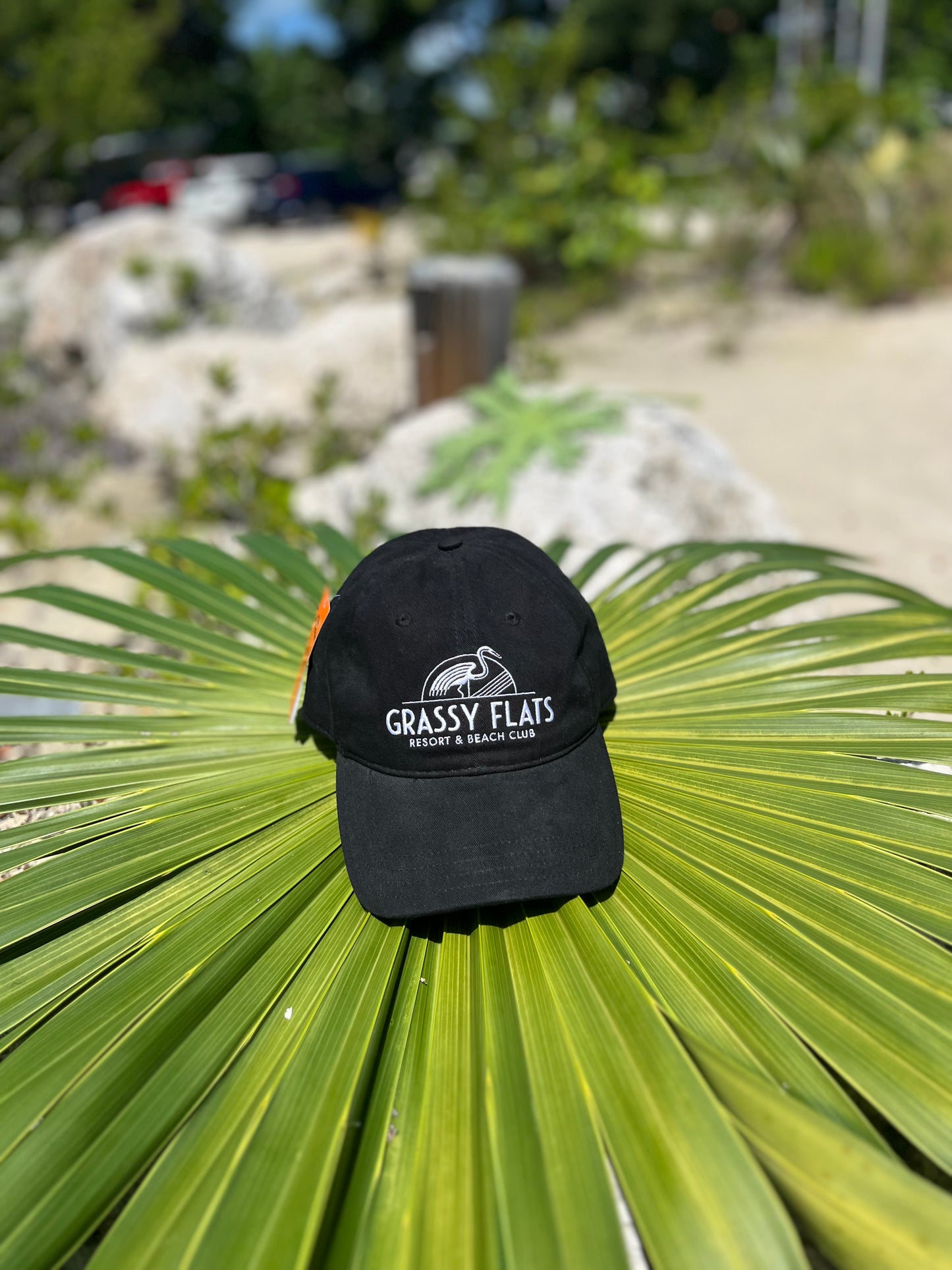 Grassy Flats Dad Hat