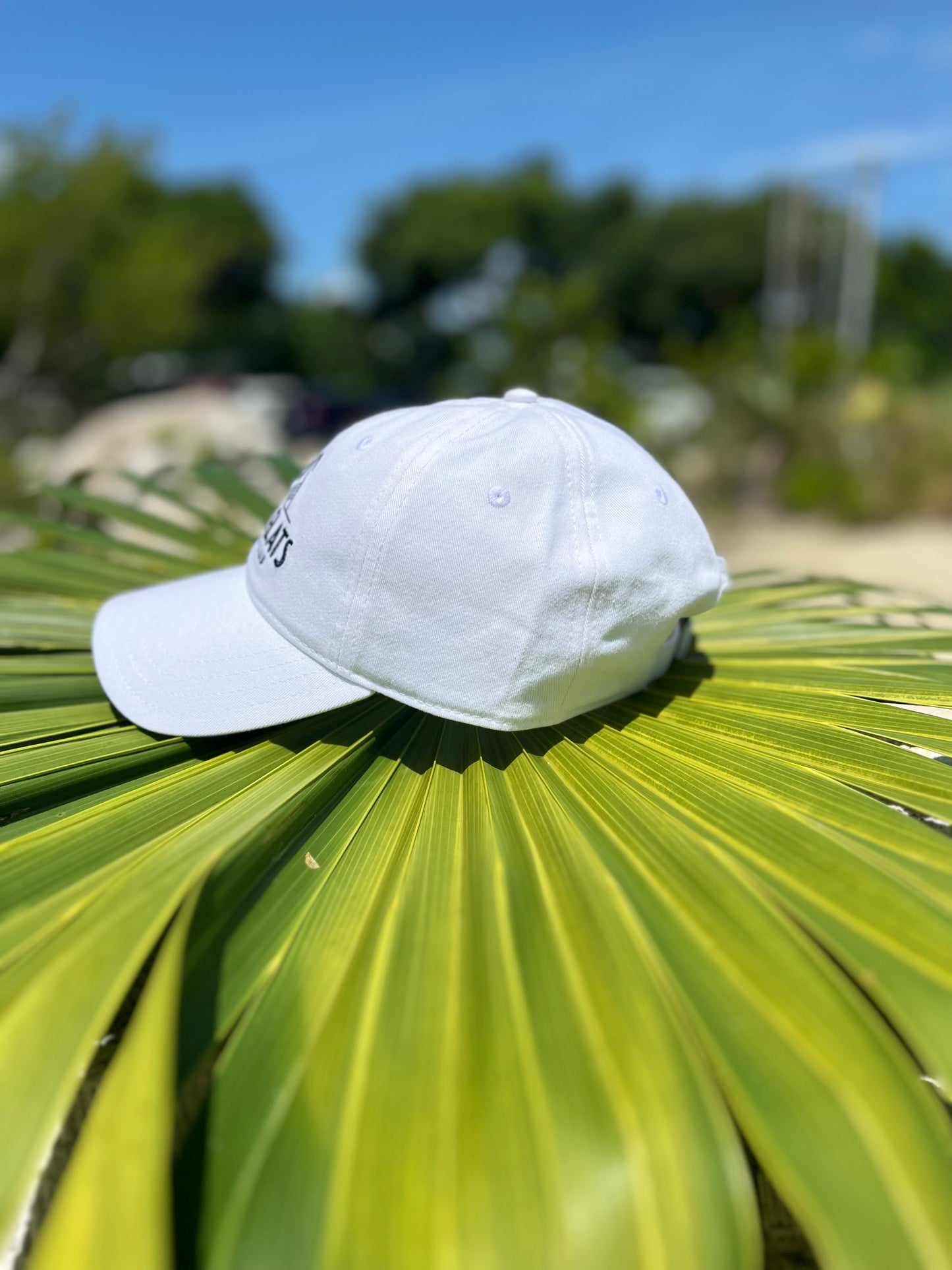 Grassy Flats Dad Hat
